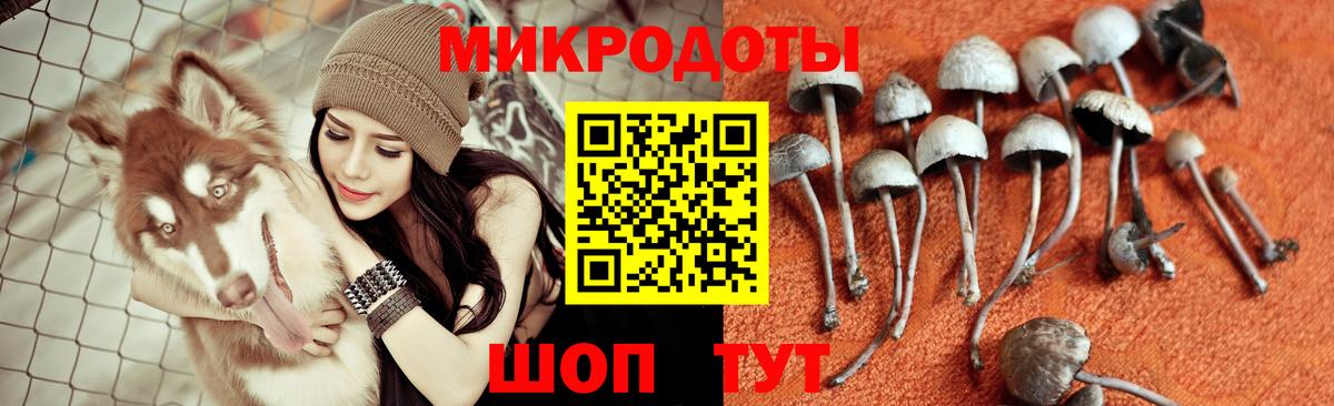 Галлюциногенные грибы мухоморы  сколько стоит  Кузнецк  Вход с VPN 