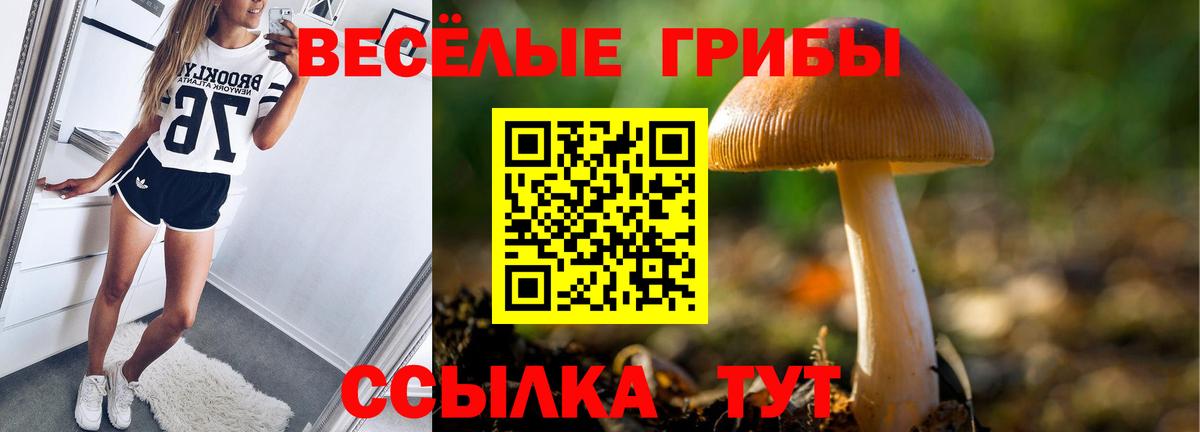 Псилоцибиновые грибы MAGIC MUSHROOMS Кузнецк
