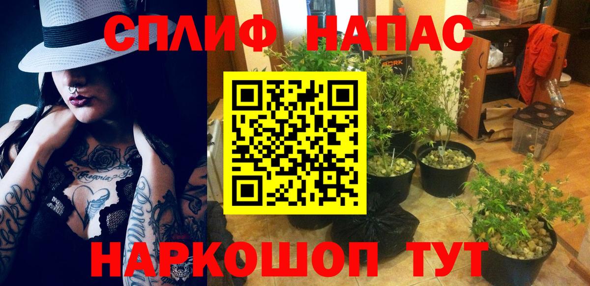 Марихуана индика Кузнецк